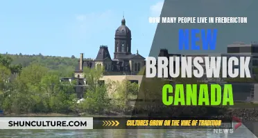 Fredericton, New Brunswick: Population Hub