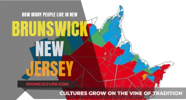 New Brunswick, New Jersey: Population Hub