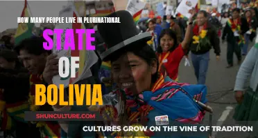 Exploring Bolivia's Population in the Plurinational State