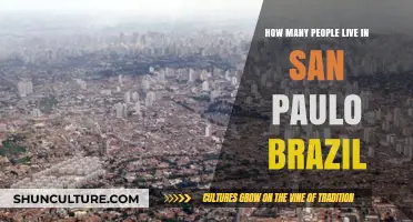Exploring São Paulo's Population: How Many Call Brazil's Metropolis Home?
