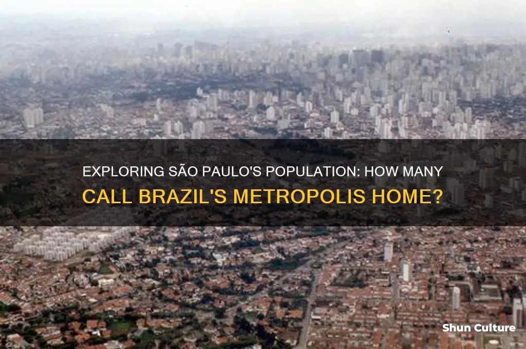 how many people live in san paulo brazil