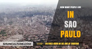 Exploring São Paulo's Population: How Many Call This City Home?