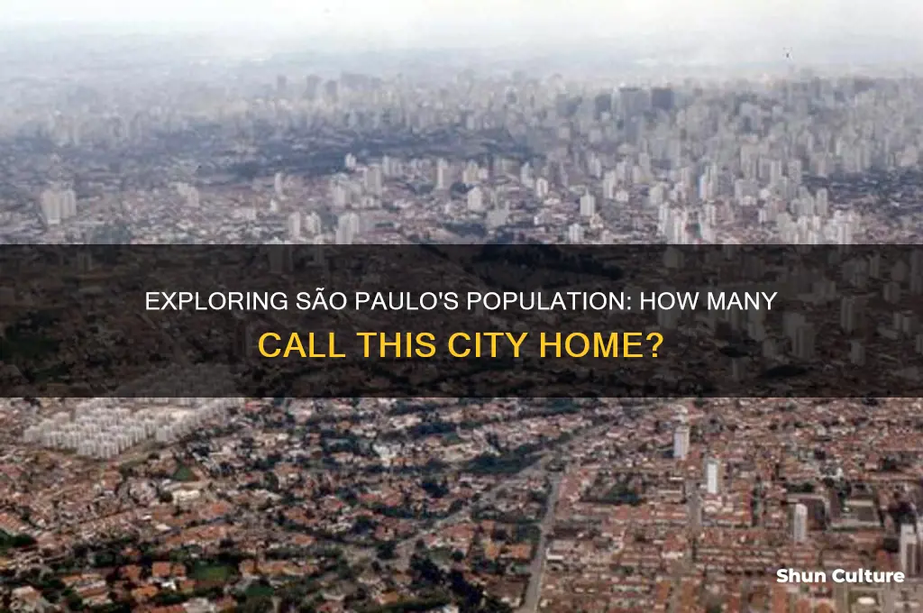 how many people live in sao paulo