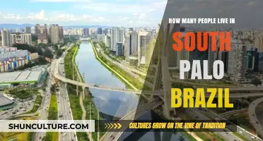 Discovering South Palo, Brazil: Population Insights and Community Life