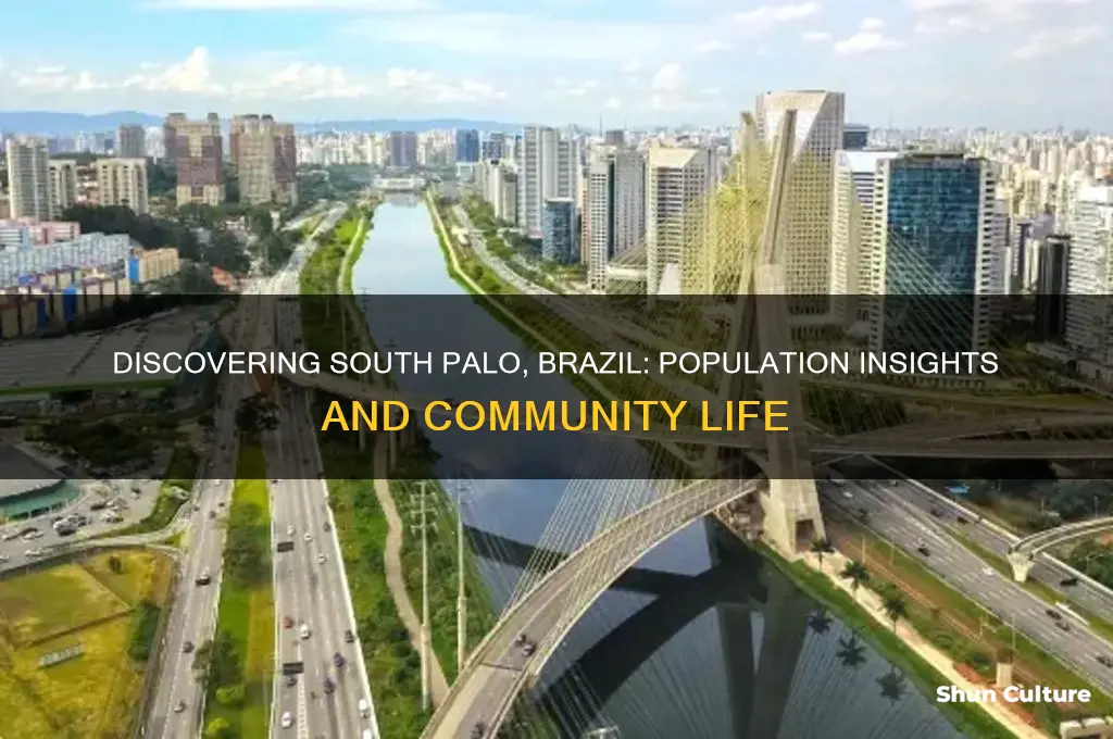 how many people live in south palo brazil