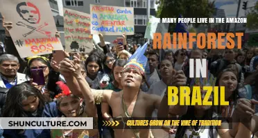 Exploring Brazil's Amazon: Population Insights and Indigenous Communities