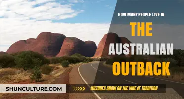 Exploring Population Trends in Australia's Remote Outback