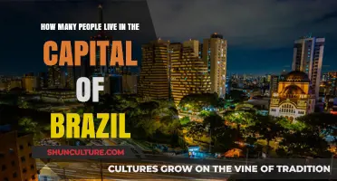 Discovering Brasília's Population: How Many Call Brazil's Capital Home?