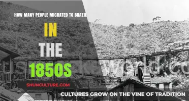 Migration to Brazil in the 1850s: Uncovering Historical Population Trends