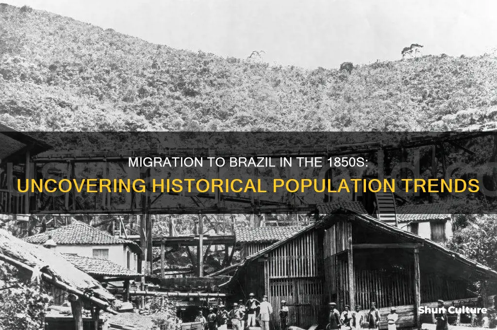 how many people migrated to brazil in the 1850s