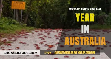 Exploring Australia's Annual Migration Patterns