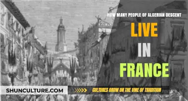 Algerian Heritage in France: Exploring the Size of the Community