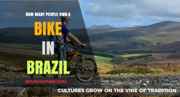 Brazil's Cycling Culture: Exploring Bike Ownership Statistics and Trends
