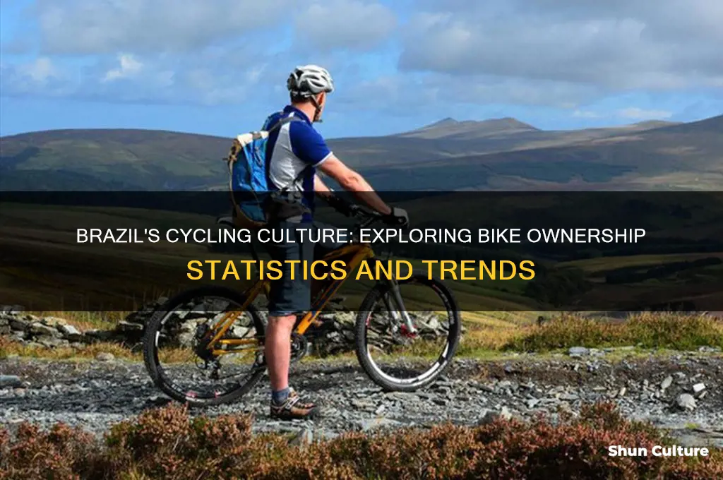 how many people own a bike in brazil