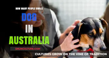 Dog Ownership in Australia: A Large Number of Pet Lovers