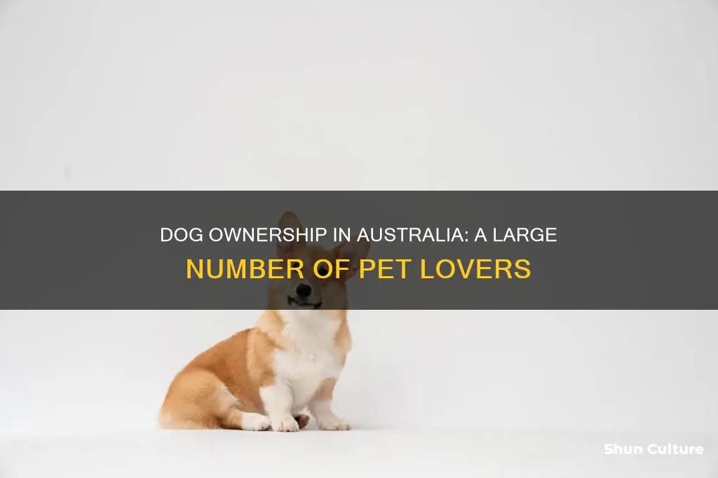 how many people own a dog in australia