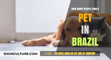 Pet Ownership in Brazil: A Look at the Numbers