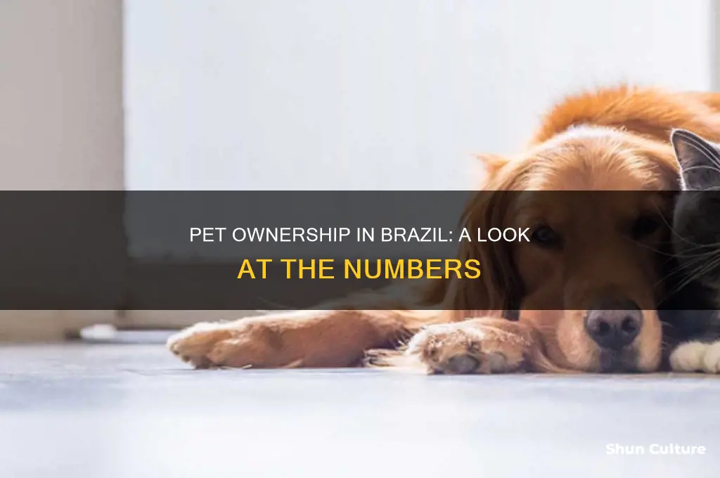 how many people own a pet in brazil