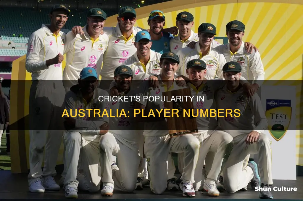 how many people play cricket in australia