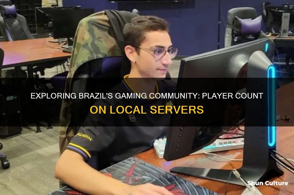 how many people play on the brazil server