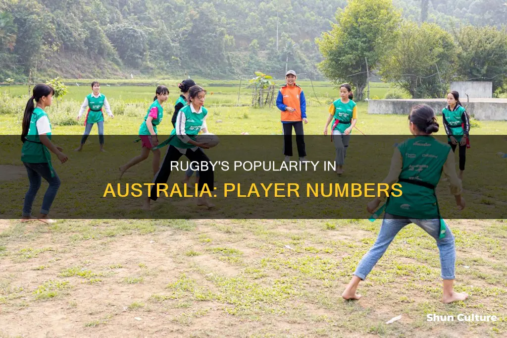 how many people play rugby in australia