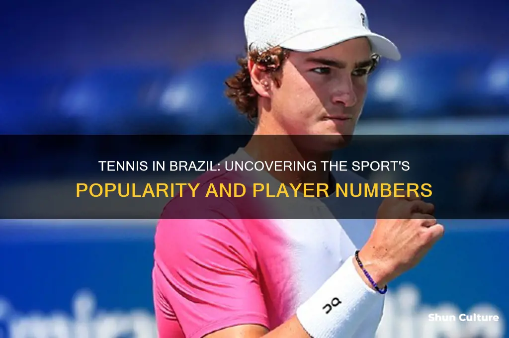 how many people play tennis in brazil