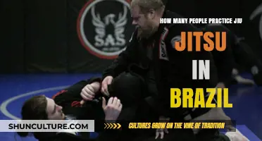 Exploring the Popularity of Jiu Jitsu Practitioners in Brazil
