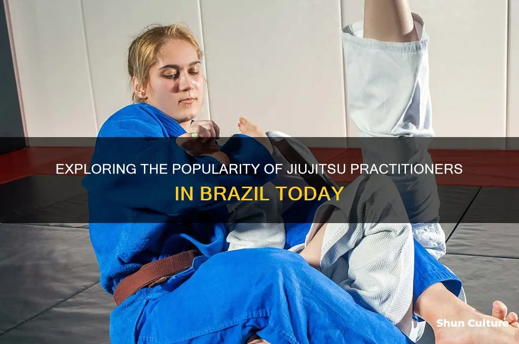 how many people practice jiujitsu in brazil