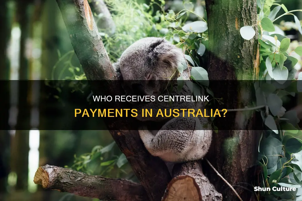 how many people receive centrelink payments in australia