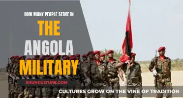 Angola's Military: How Many Serve Today?