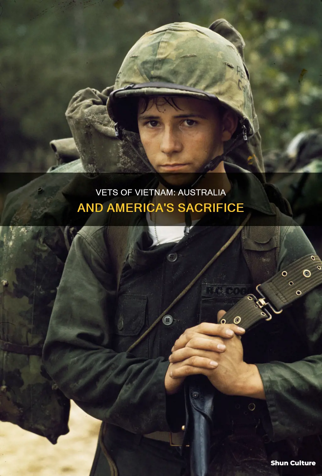 how many people served in vietnam war australia and america