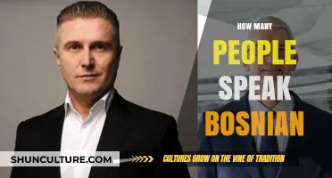 Exploring Bosnian Language Speakers: Global Reach and Cultural Significance