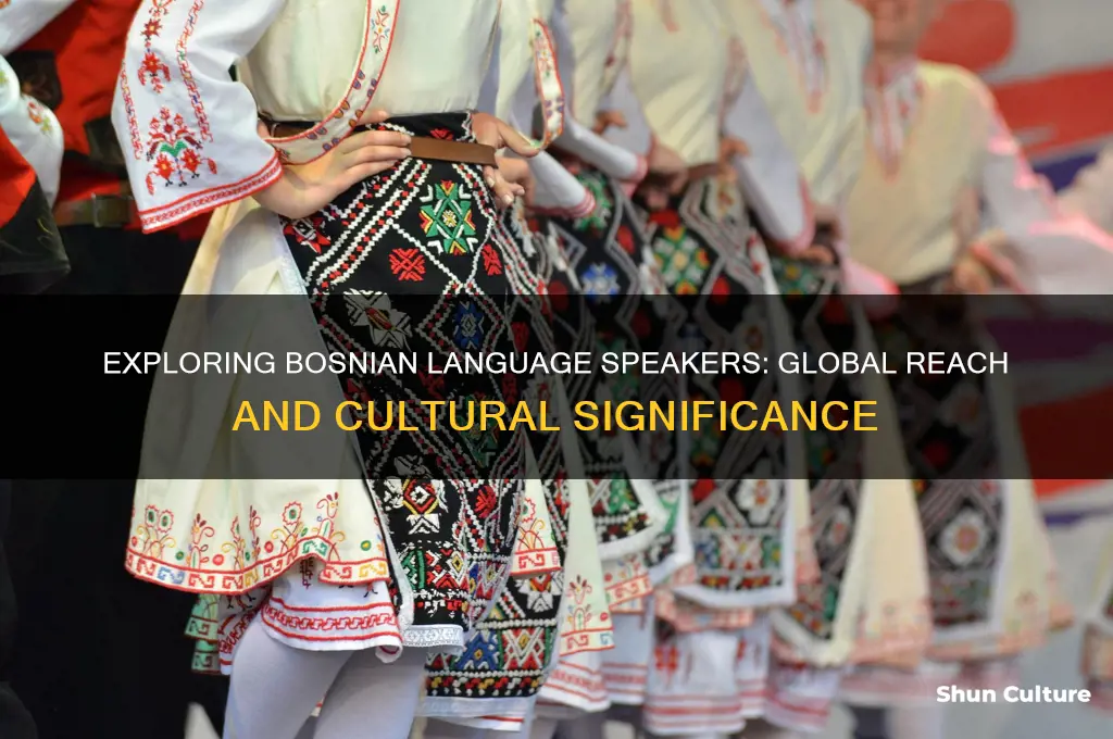 how many people speak bosnian