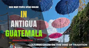 Exploring English Speakers in Antigua Guatemala: A Linguistic Overview