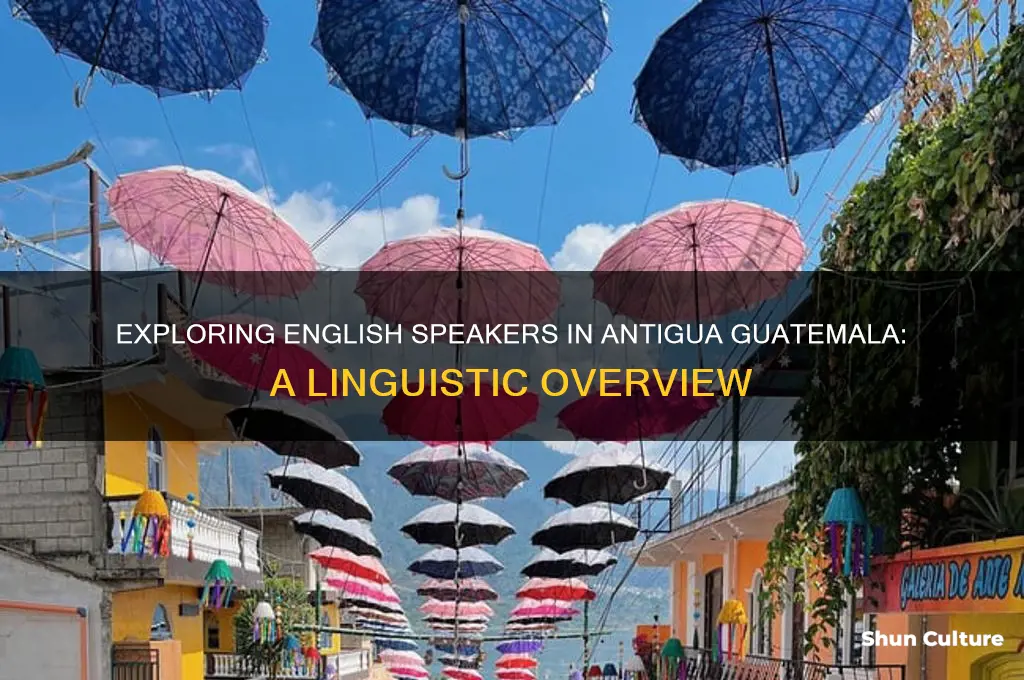 how many people speak english in antigua guatemala