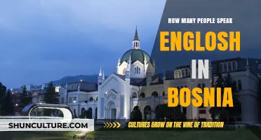 English Proficiency in Bosnia: Exploring Language Usage and Speaker Demographics