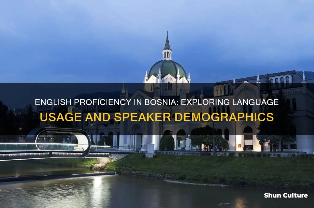 how many people speak englosh in bosnia