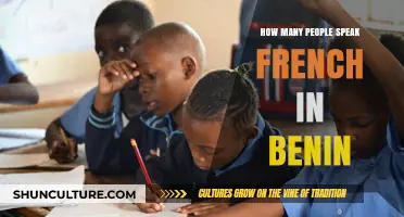 Exploring the Francophone Population in Benin: A Linguistic Journey