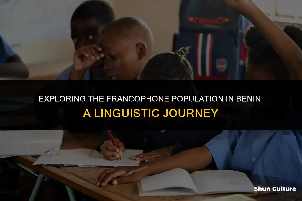 how many people speak french in benin