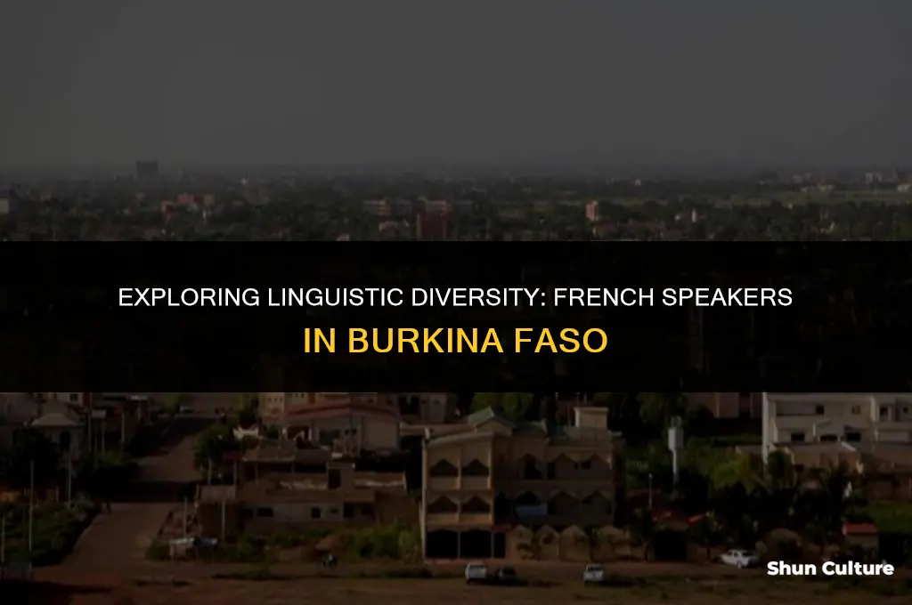 how many people speak french in burkina faso