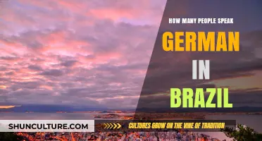 German Speakers in Brazil: Uncovering the Language's Presence and Influence