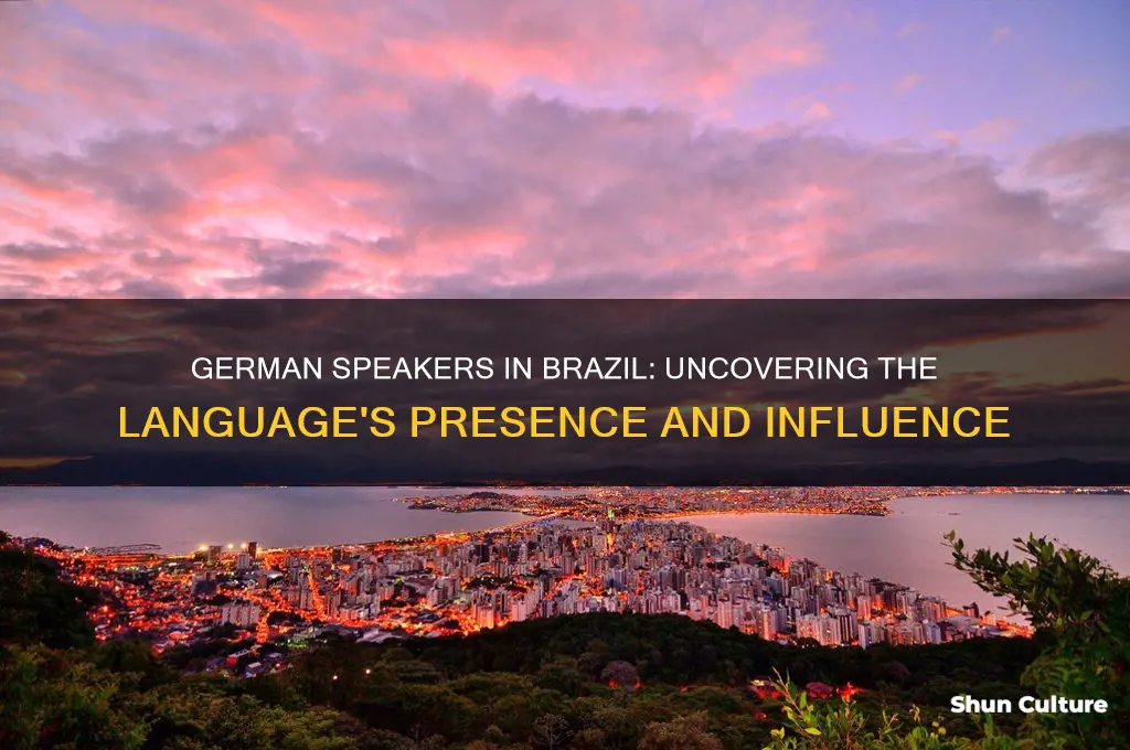 how many people speak german in brazil