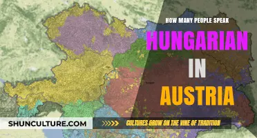 The Hungarian Language in Austria: A Linguistic Journey