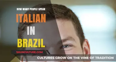 Italian Speakers in Brazil: Exploring the Language's Reach and Influence