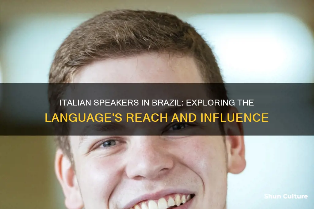 how many people speak italian in brazil