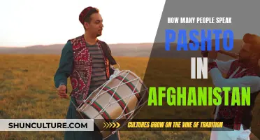 Pashto Speakers in Afghanistan: A Significant Portion of the Country's Population