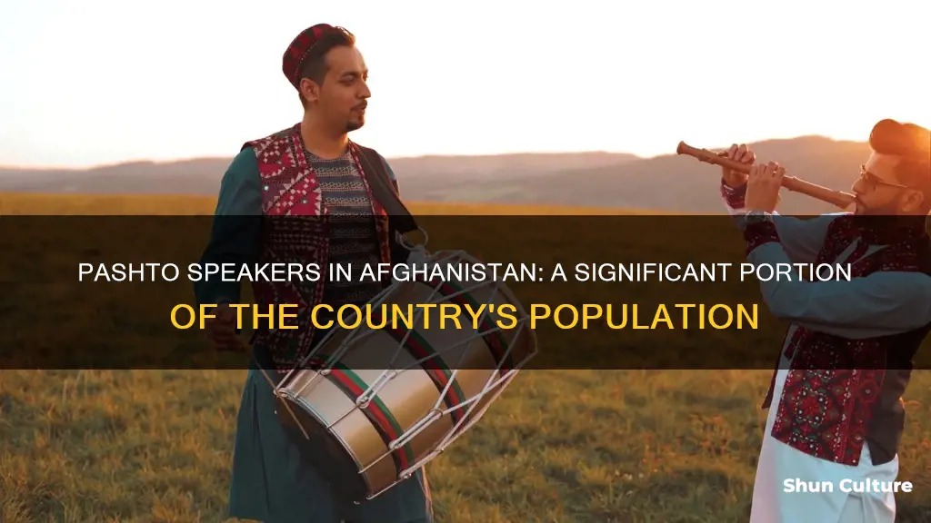 how many people speak pashto in afghanistan