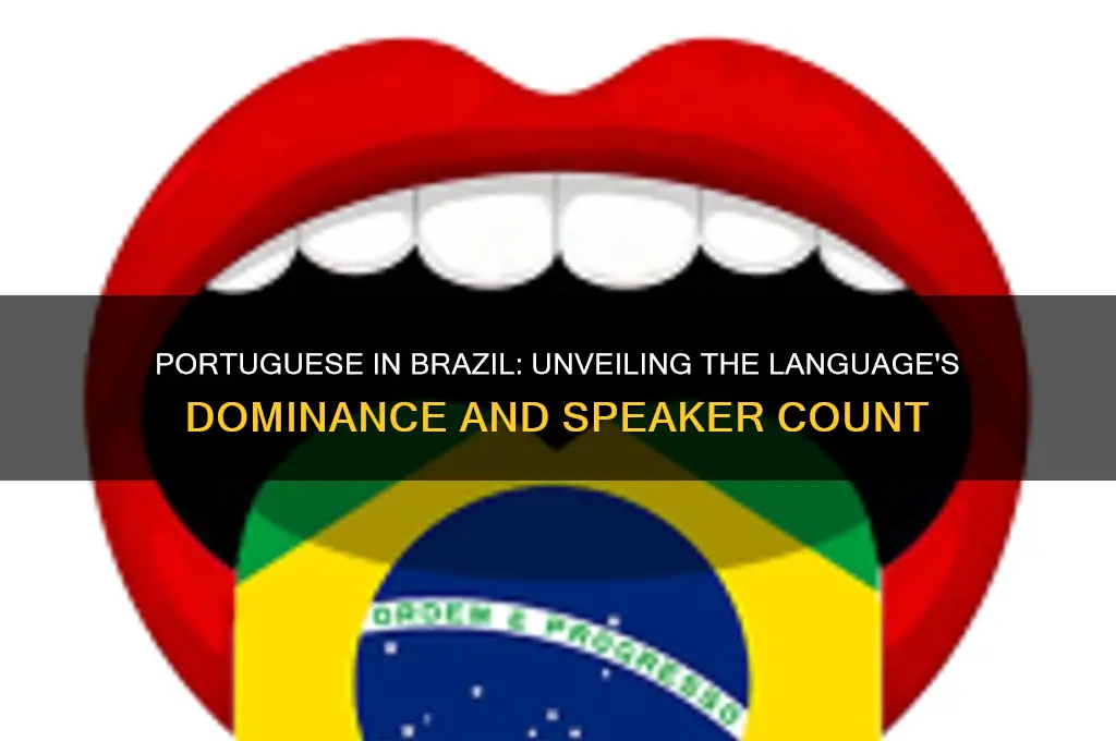 how many people speak portuguse in brazil