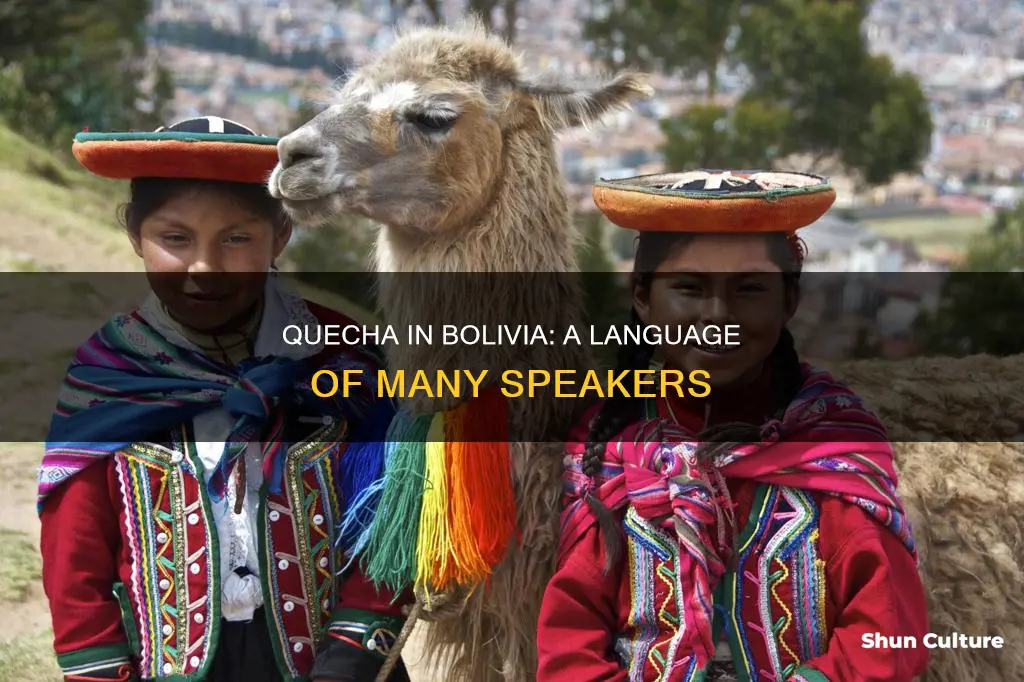 how many people speak quecha in bolivia