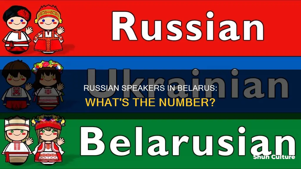 how many people speak russian in belarus